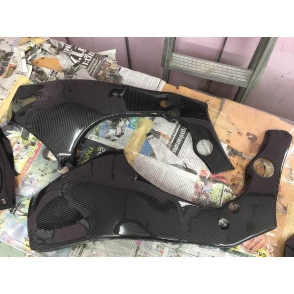 ARASHI アラシ Frame Cover ZX-10R ZX-10RR KAWASAKI カワサ...