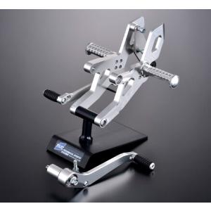 RZ250R シフトシャフトガイドプレート シルバー : Complsah Factory