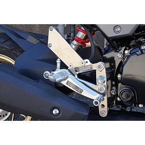 ASAHINA Racing（アサヒナレーシング） ワンガン モンスター ワイルド