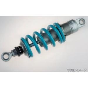 NITRON ナイトロン リアサスペンション NTR R1シリーズ ローダウン スプリングカラー：タ...