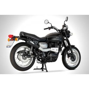 シックデザイン/W400 W650 W800用ミニロケットカウル 2735643_2798.jpg
