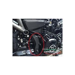 CARBONVANI カーボンバーニ ケーブルプロテクター クリア塗装：艶あり GLOSSY  X DIAVEL DUCATI ドゥカティ その他汎用外装部品・ドレスアップパーツ 外装