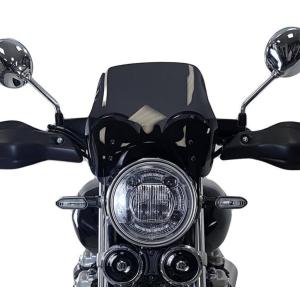 Odax（オダックス） POWER BRONZE ネイキッド・スクリーン【ショート