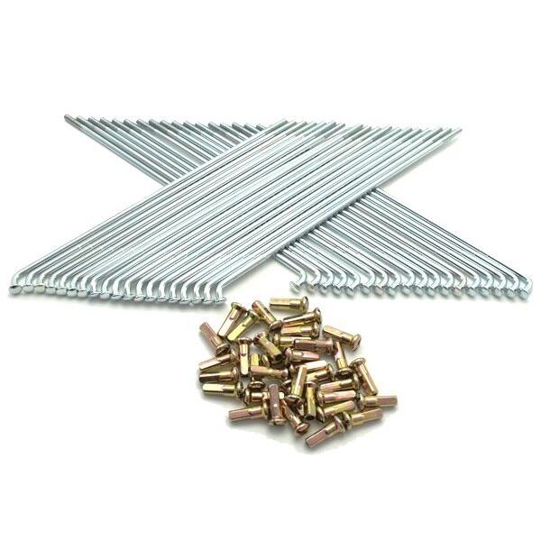 Dachi ダチ DC スポーク&amp;ニップルセット HF TL125 TLR200 HONDA ホンダ...