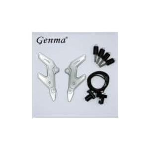 Fakie ファーキー Fork guards+Light [フォークガード+ライト] カラー：ブラ...