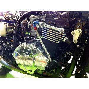 武川 ダイカストクラッチカバー XR100 エイプ100 NSF100 Webike | SP武川 SPタケガワ ダイカストクラッチカバー APE100