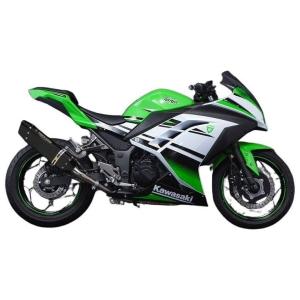 スリップオンマフラー WirusWin thunder250 スラッシュTYPE WirusWin（ウイルズウィン） スリップオンマフラー タイプ：スラッシュ