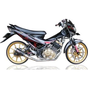 Pro Liner プロライナー TR1 R カーボン フルエキゾーストマフラー タイプ：TR1 ロ...