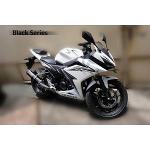 ノジマエンジニアリング ノジマ KSR110 FASARM M TITAN JMCA NOJIMA