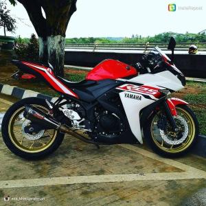 PRUNUS（プラナス） ホースバンド YZF-R25 YZF-R3 MT-25 MT-03 MT03