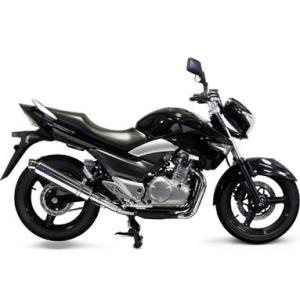 ##GSR 250 デュアルマフラーチタン風? GSR 250 デュアルマフラーチタン風? 【公式通販】