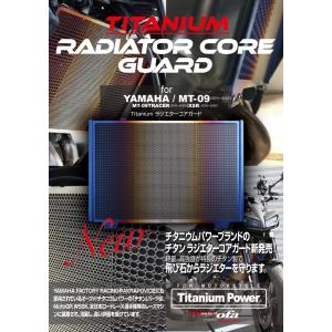 エッチングファクトリー XSR900用 ラジエーターガードSB エンブレム