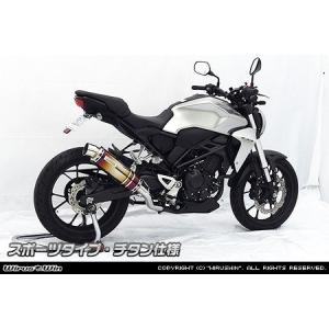 CB250R（2BK-MC52） R-EVO スリップオンマフラー ステンレス