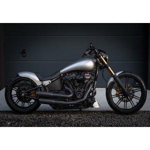 専用 ハーレーダビッドソン fxsb fxseサンダーバイク エアサスペンション ハーレーダビッドソン fxsb fxseサンダーバイク エア