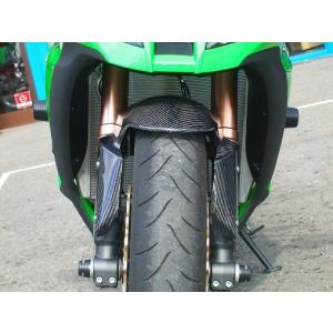 Ninja1000 11- クレバーウルフ カーボンフェンダー 25070601 CLEVER WOLF（クレバーウルフ） フロントフェンダー タイプ：カーボン