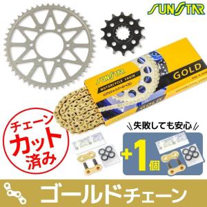 Campagnolo チェーン、スプロケットセット 21-22 2BL-EX400G カワサキ Z400 スプロケット・チェーンセット