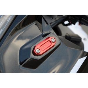 Carbon Variasi カーボンバリアシ ウイングレット ZX-25R KAWASAKI