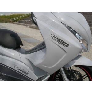 PCX(JK05KF47) デビルマスク 黒ゲルコート : バイクカスタムパーツ