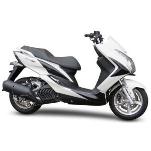スズキ アドレスV100 CE13A 2型 外装 5点 カウル セット パール