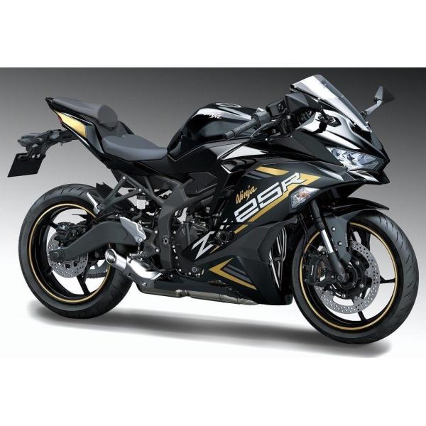 K’s-STYLE ケイズスタイル デカールキット DK3 カラー：ゴールド Ninja ZX-25...