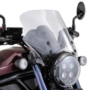 DAYTONA（デイトナ） D21622 スクリーン レブル1100/DCT(21) ブラスト