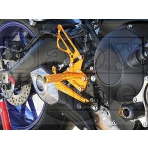 TERMIGNONI（テルミニョーニ） MT-09 XSR900 3X1 Street ステンレス
