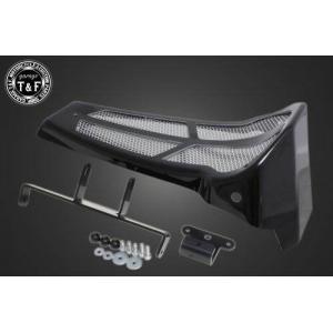 Garage T＆F ガレージ アンダーカウルキット ドラッグスター400