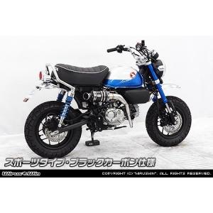 スペシャルパーツ武川 SP武川 SPタケガワ スクランブラーマフラー(政府