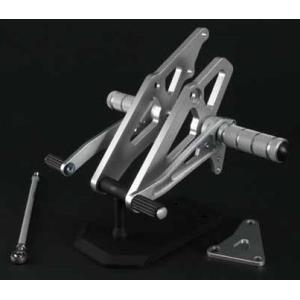 SPICE スパイス タクティカルステップ 1ポジション XJR400 S R YAMAHA ヤマハ...