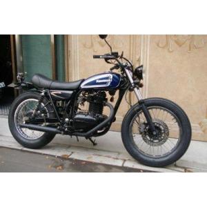 WM ダブルエム KHルック テールカウル COMP 250TR KAWASAKI