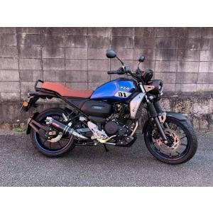 FZ-X150用インド輸入限定リアキャリア FZ-X FZX SIRA リアキャリア ラック キャリア インドヤマハ 2021