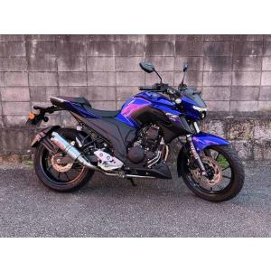PRO SKILL プロスキル レーシングサイレンサー ジェベル250XC DR250R