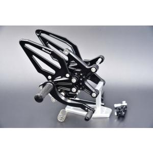 WOODSTOCK ウッドストック レース用タイプ1 バックステップキット ZX-10R KAWAS...