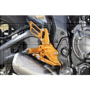 ACTIVE （アクティブ）YAMAHA YZF-R7 フェンダーレスキット 1153071