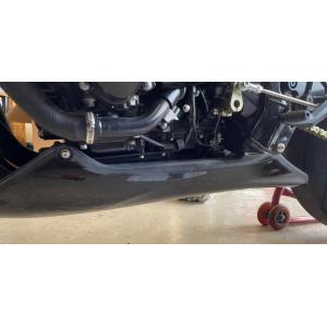 VERTIA ヴェルティア アンダーカウル タイプ：Carbonステー付き Z900RS