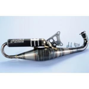 Polini ポリーニ フルエキゾーストシステム VESPA PE PX E ARCOBALENO