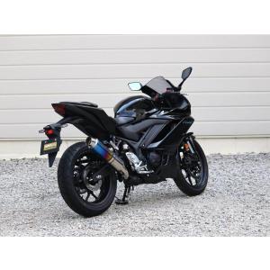 WR'S（ダブルアールズ） WR'S リアエキゾースト スリップオンマフラー