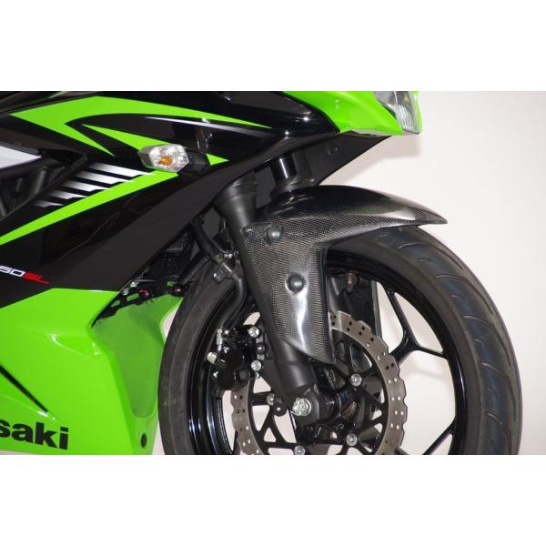 COERCE コワース RSフロントフェンダー タイプ：カーボン(綾織り) Ninja250SL Z...