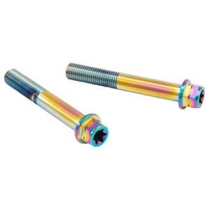 PLOT プロト プロトブレンボ ステンレスキャリパーマウントボルト カラー：チタン キャリパーボル...