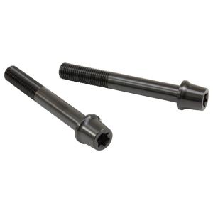 PLOT プロト プロトブレンボ ステンレスキャリパーマウントボルト カラー：ブラック キャリパーボ...