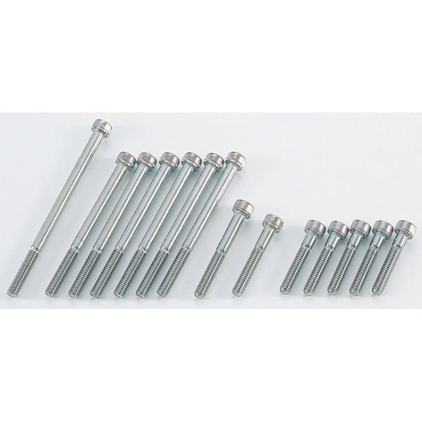 CF POSH CFポッシュ ステンレスクランクケースカバーボルトセット エイプ50 XR100モタ...