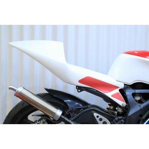 STRIKER（ストライカー） カーボンリヤフェンダー Ninja1100SX SE