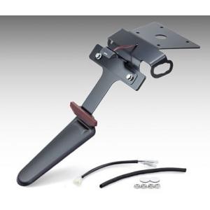 DAYTONA フェンダーレスキット Z650RS Amazon | デイトナ(Daytona) Z650RS(23)専用 フェンダーレス LED