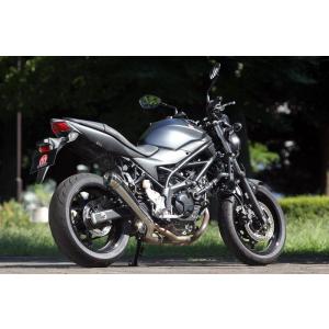 SP忠男 スペシャルパーツ忠男 POWERBOX(パワーボックス)パイプ SV650