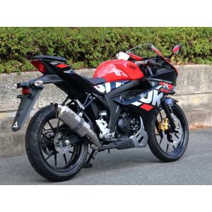 WR'S（ダブルアールズ） バイク マフラー 2022- GSX-R125/GSX-S125