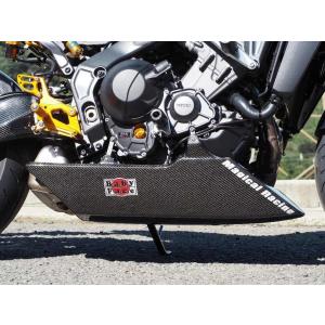 STRIKER（ストライカー） カーボンリヤフェンダー MT-09 TRACER XSR900