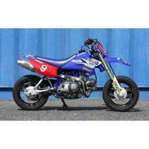 STRIKER（ストライカー） DLIVE DLI-1650STJ-S ドライブ GB350/S DLIVE