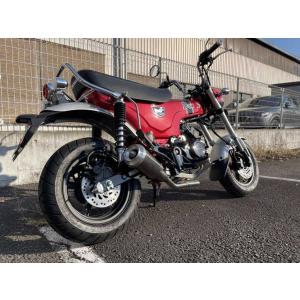 TSR テクニカルスポーツレーシング フルエキゾーストマフラー DAX125