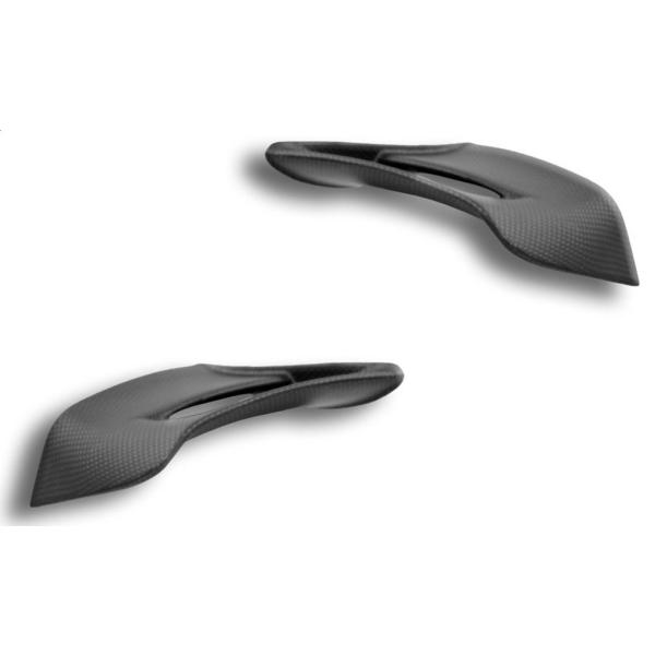 DUCABIKE (DBK) ドゥカバイク (ディービーケー) ドライカーボン ウィングレット PA...