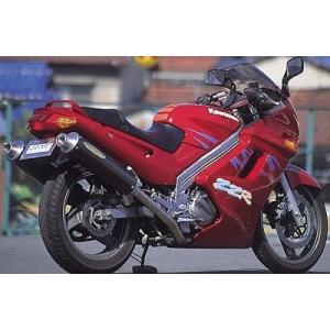 ASAHINA RACING アサヒナレーシング ワンガンZ スリップオンマフラー ZZ-R250 ...